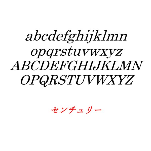 画像6: 鷲　2色モチーフ彫刻表札　横型　ウォルナット   (6)